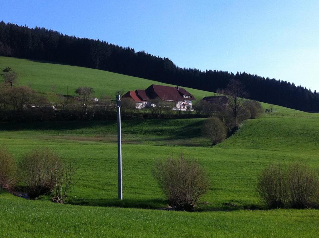 Gasthof Richebächli Elzach Exterior foto