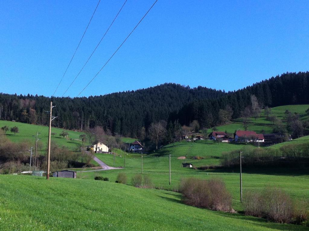 Gasthof Richebächli Elzach Exterior foto