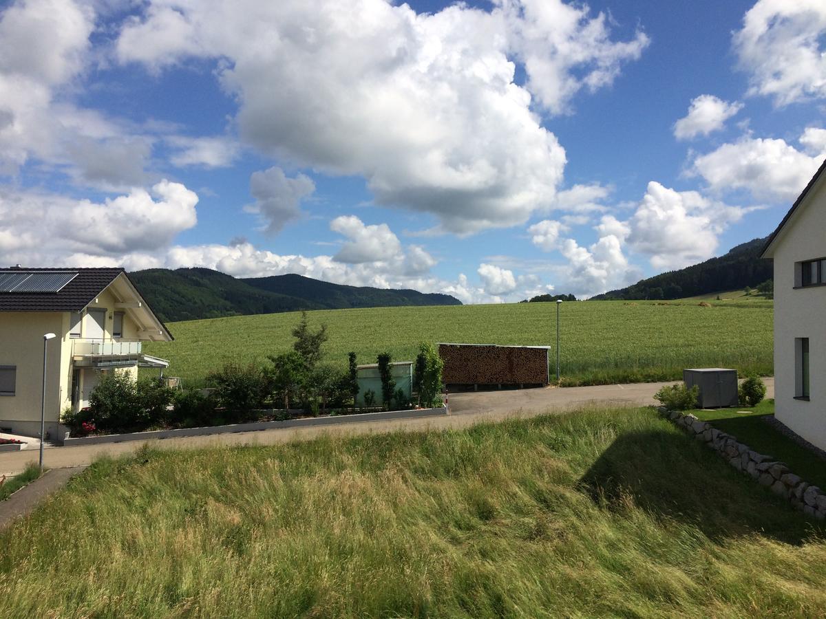 Gasthof Richebächli Elzach Exterior foto