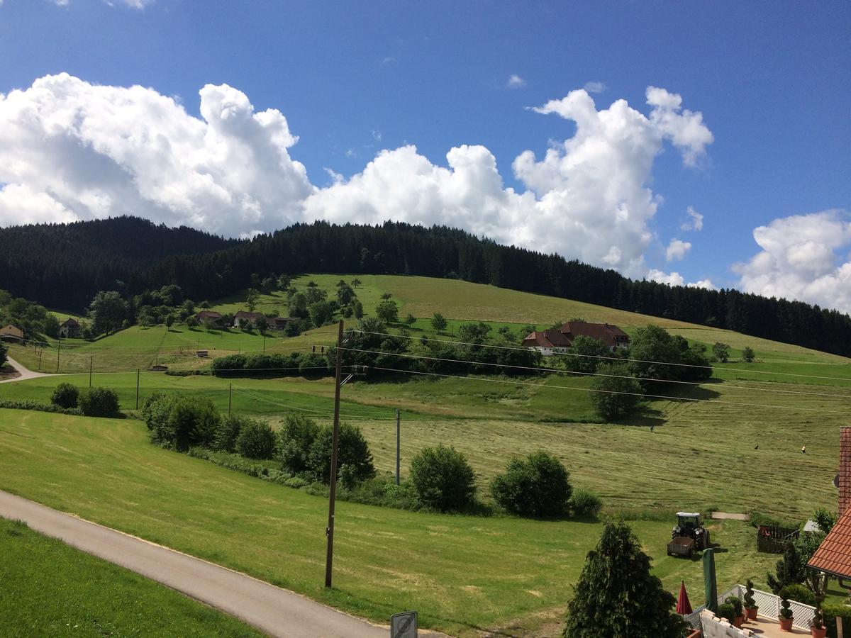 Gasthof Richebächli Elzach Exterior foto